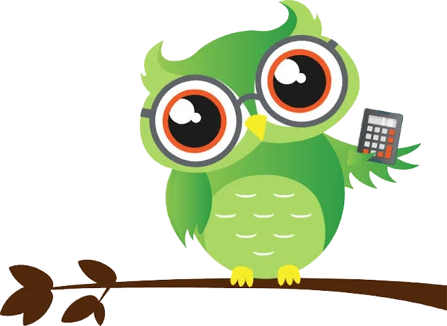 EPVS Wise Owl