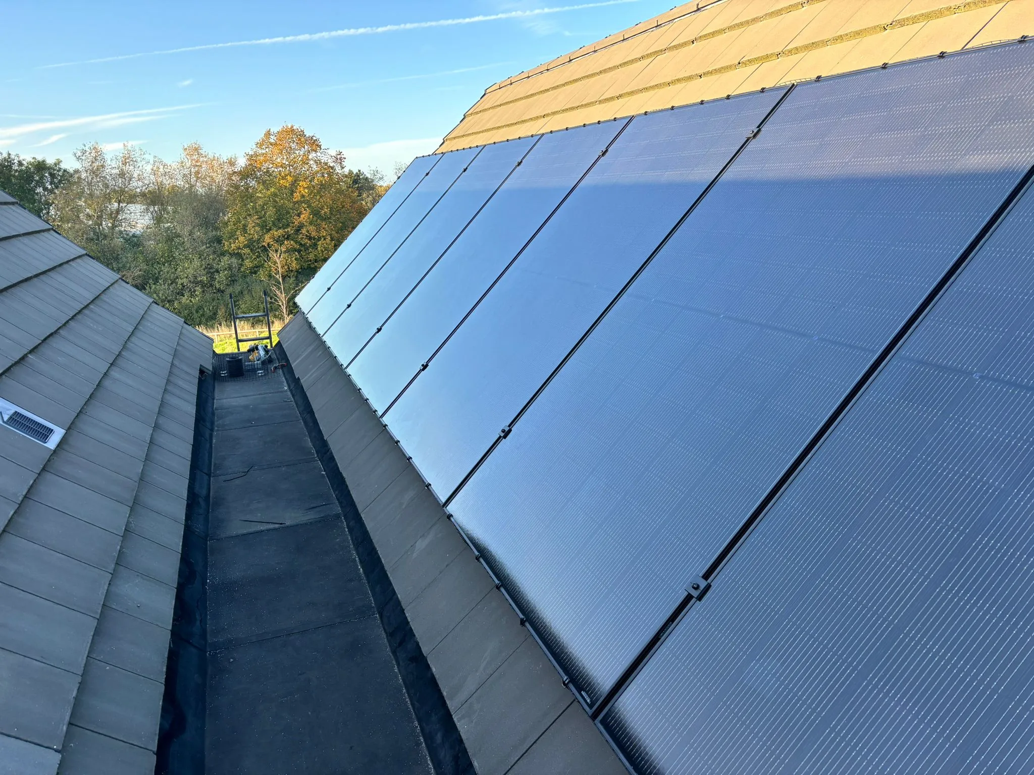 Solar panels on a pitched roof, representing Norwich